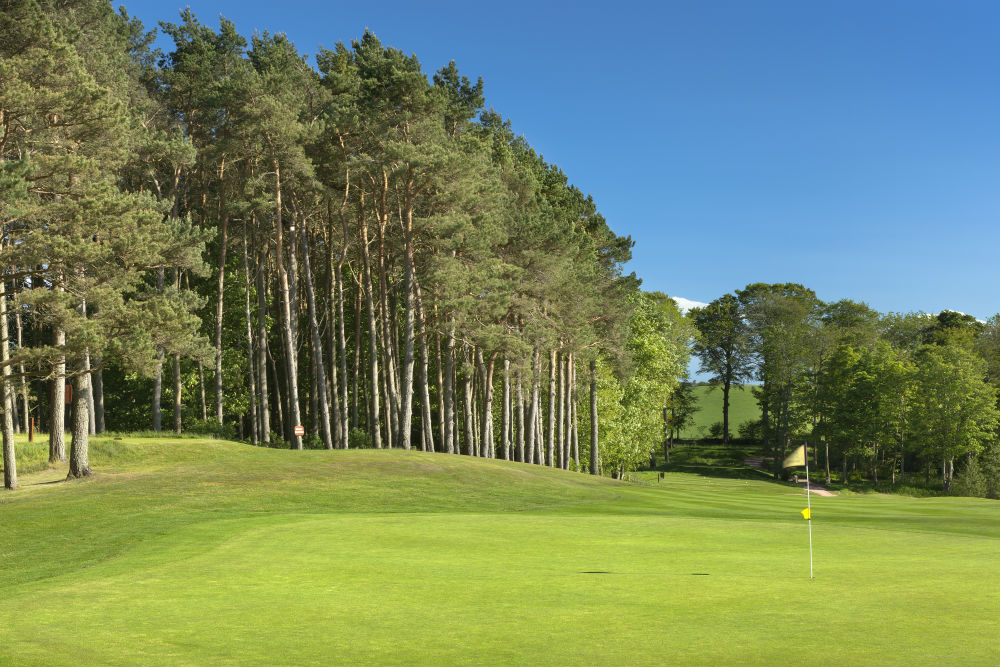Large green et foret sur le parcours de Meldrum House