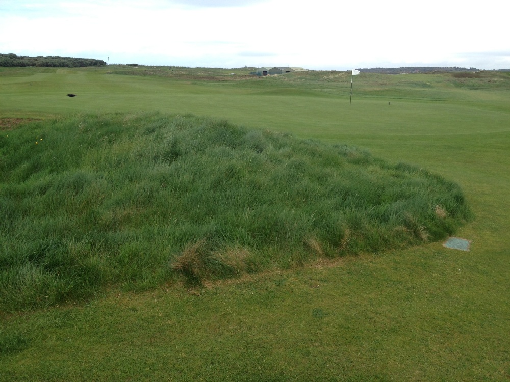 Large green et rough sur le parcours de Prestwick