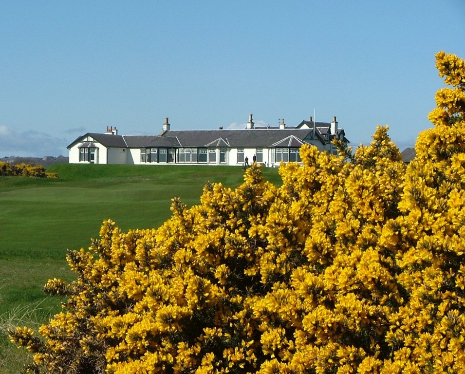 Clubhouse et ajoncs  sur le parcours du Royal Aberdeen.