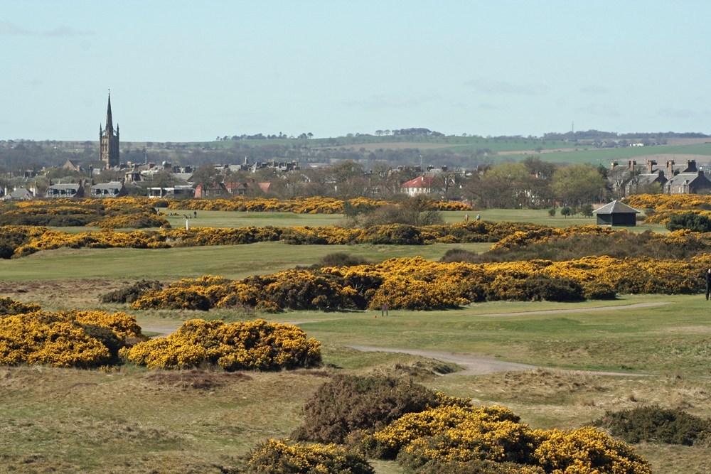 Vue sur le village sur le parcours de Montrose
