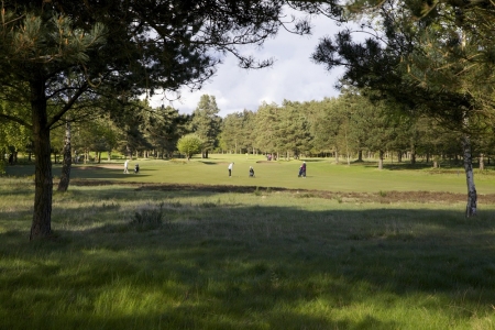 La forêt du golf de Ladybank.