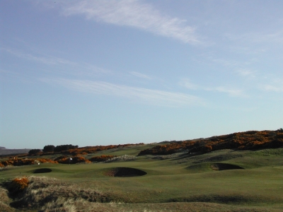 Green et bunkers sur le parcours de Montrose