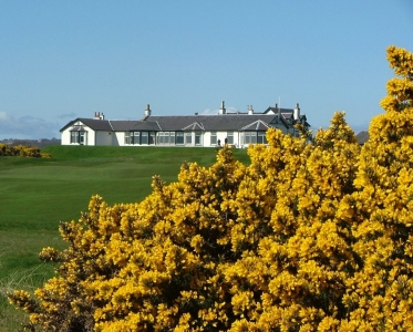Clubhouse et ajoncs  sur le parcours du Royal Aberdeen.