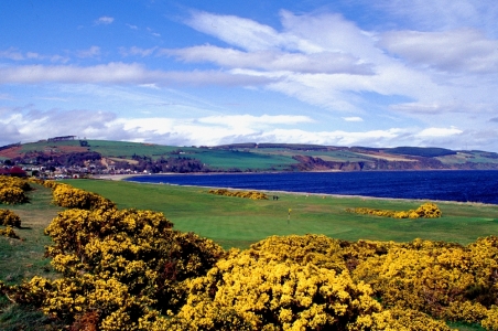 Green et ajoncs sur le parcours de Fortrose et Rosemarkie