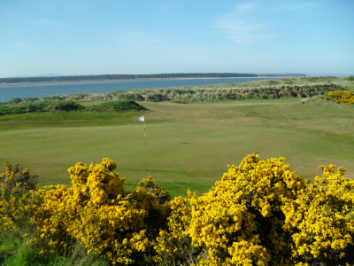 Green sur le Jubilee Course à St Andrews
