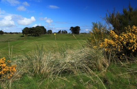 green sur le parcours de Monifieth
